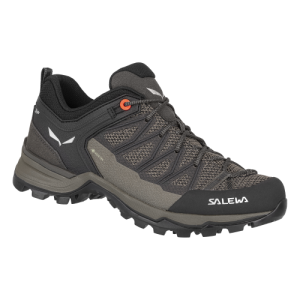 WS MTN TRAINER LITE GTX