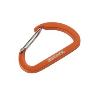 Small Karabiner